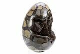 Septarian Dragon Egg Geode - Black Crystals #305801-1